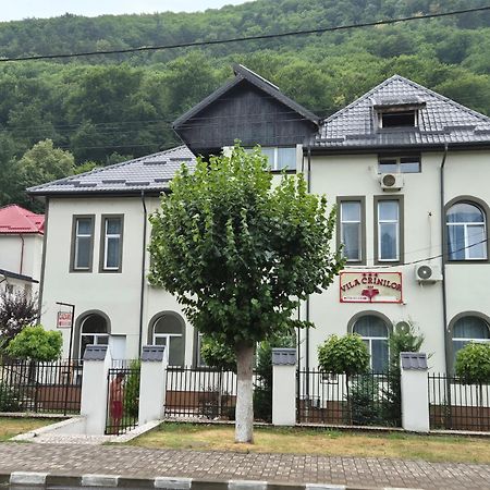 Vila Crinilor Călimăneşti Dış mekan fotoğraf