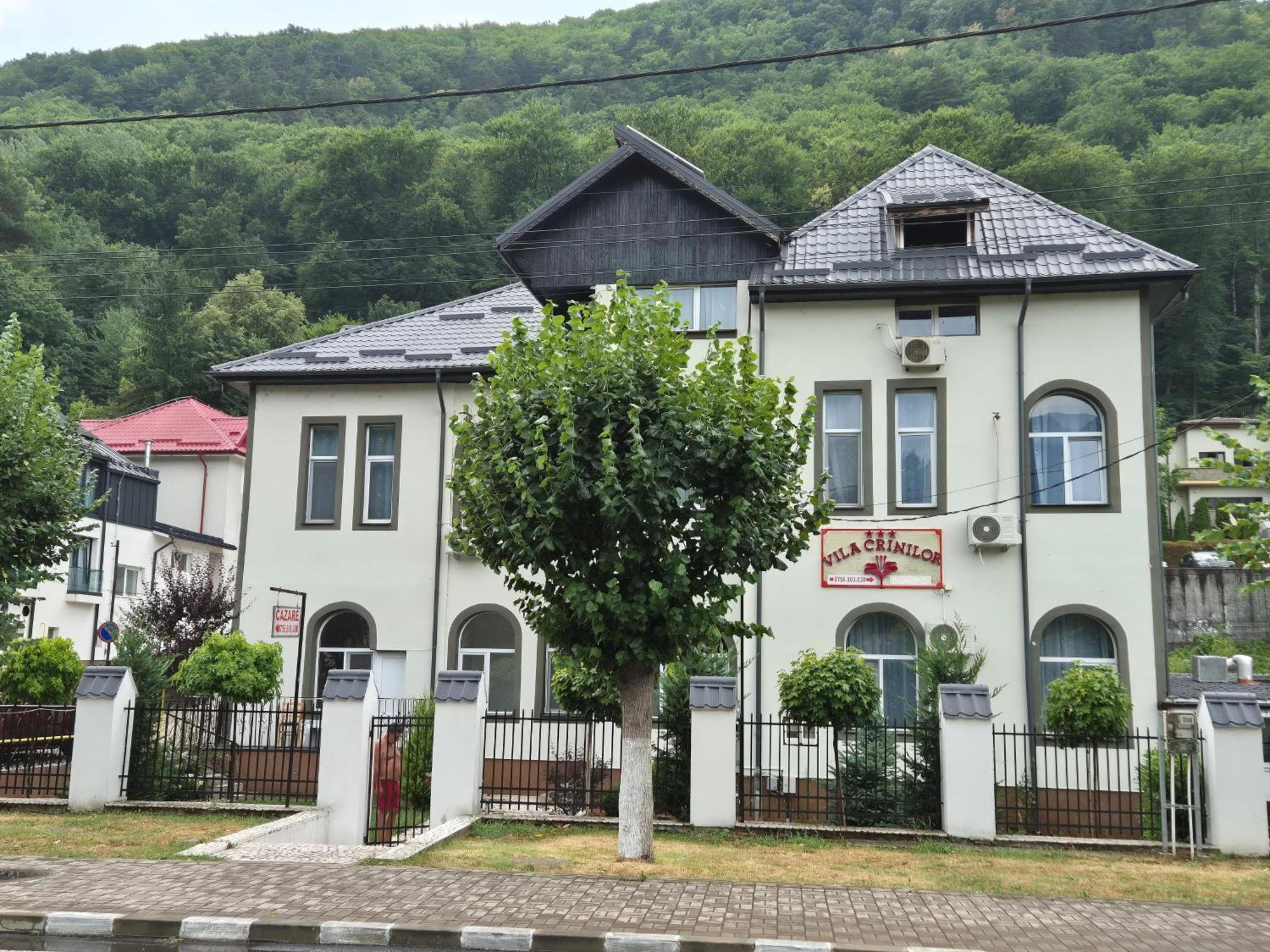 Vila Crinilor Călimăneşti Dış mekan fotoğraf